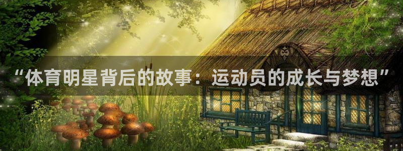 vsport体育官网下载平台APP:“体育明星背后的故事:运