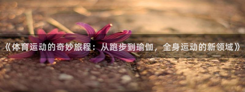 vsport体育官方正版app代理:《体育运动的奇妙旅程:从