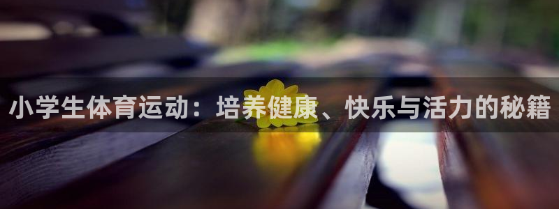 vsport体育官方正版app娱乐首页网站大全:小学生体育运