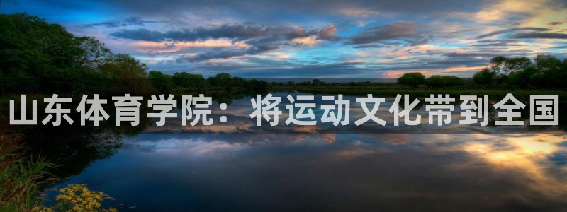 vsport体育官方正版app新能源:山东体育学院:将运动文